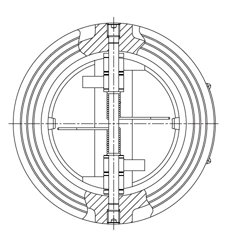 Dual-Plate Wafer Check Valve
