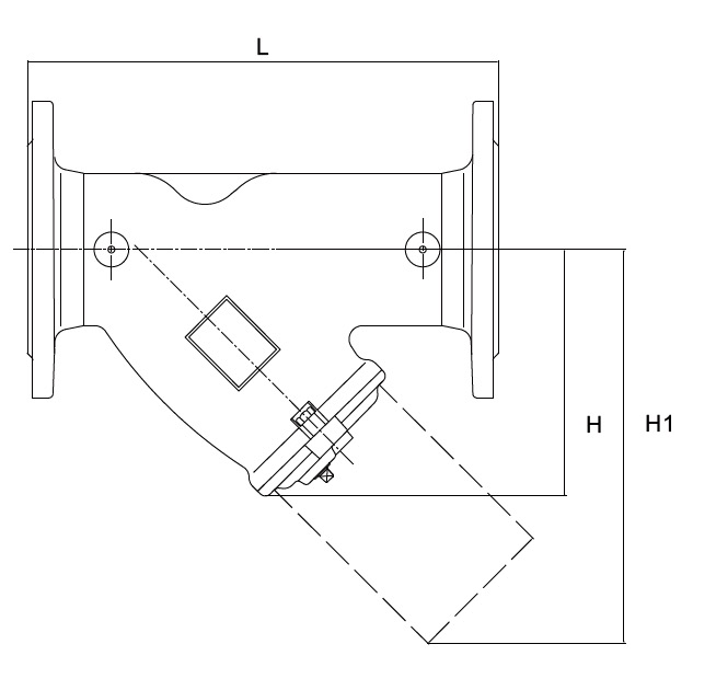 Y-Pattern Strainer SPEC